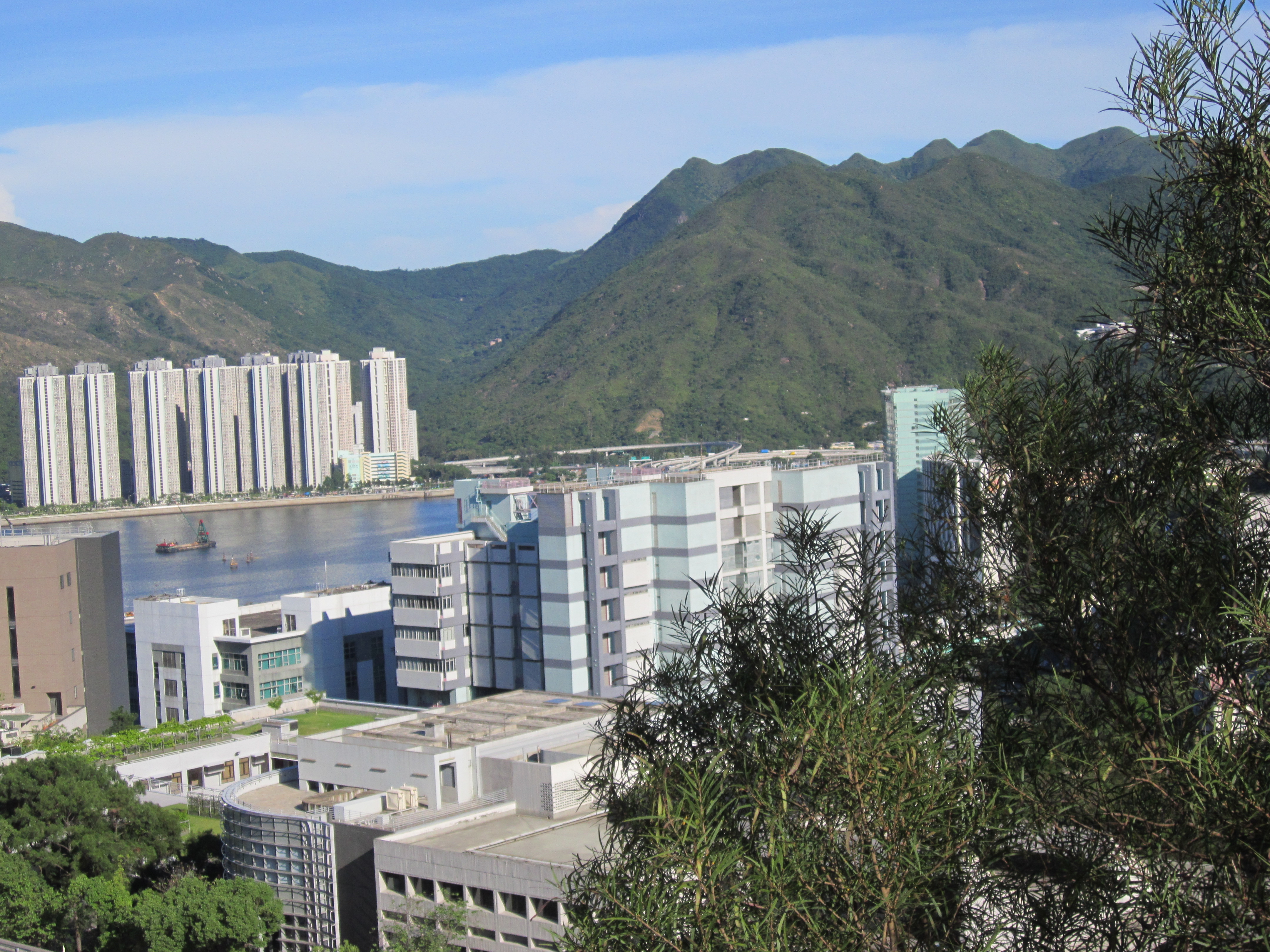 stunning campus view, with green, high rising mountains in the background, and CUHK's campus in the foreground.